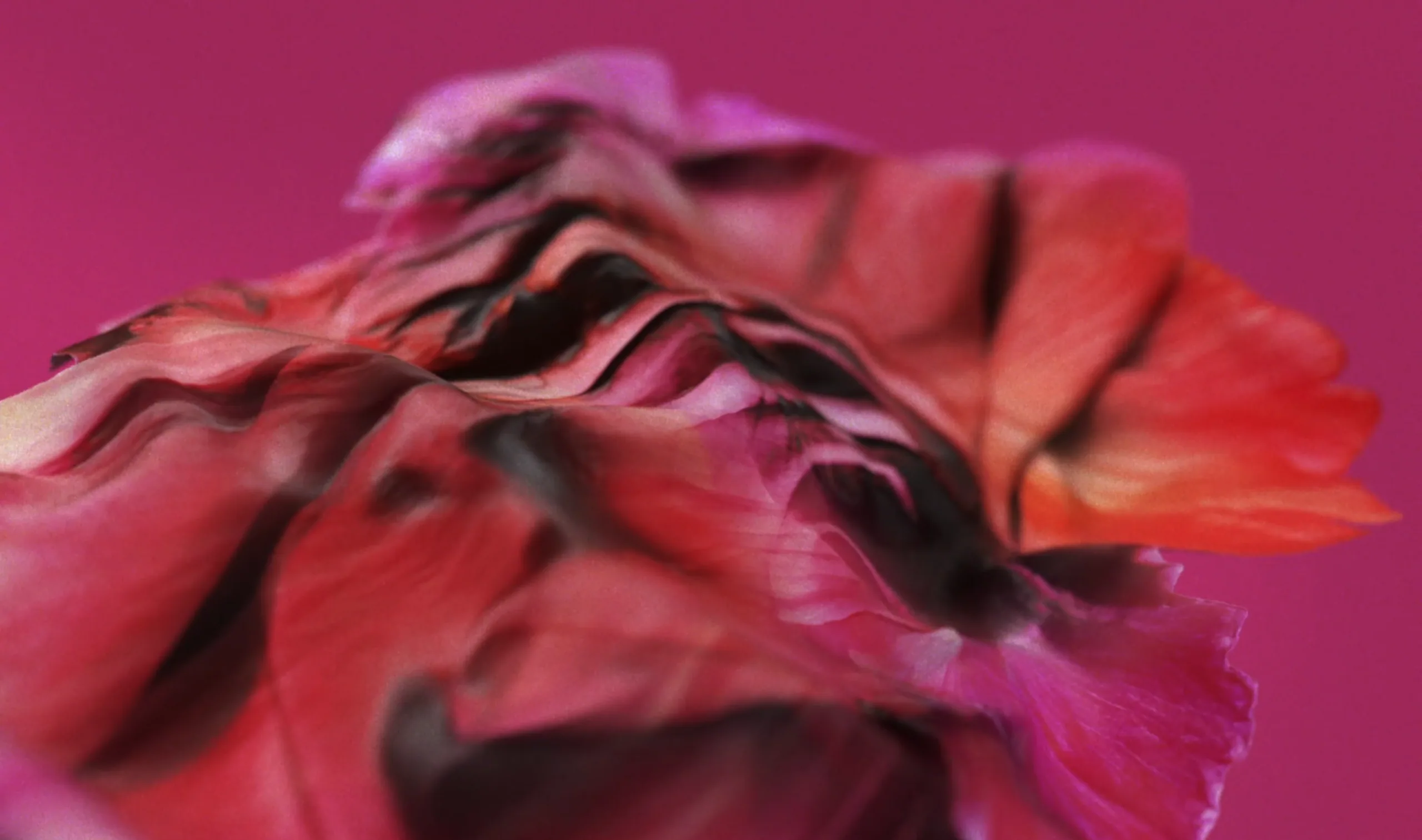 VALENTINO — still